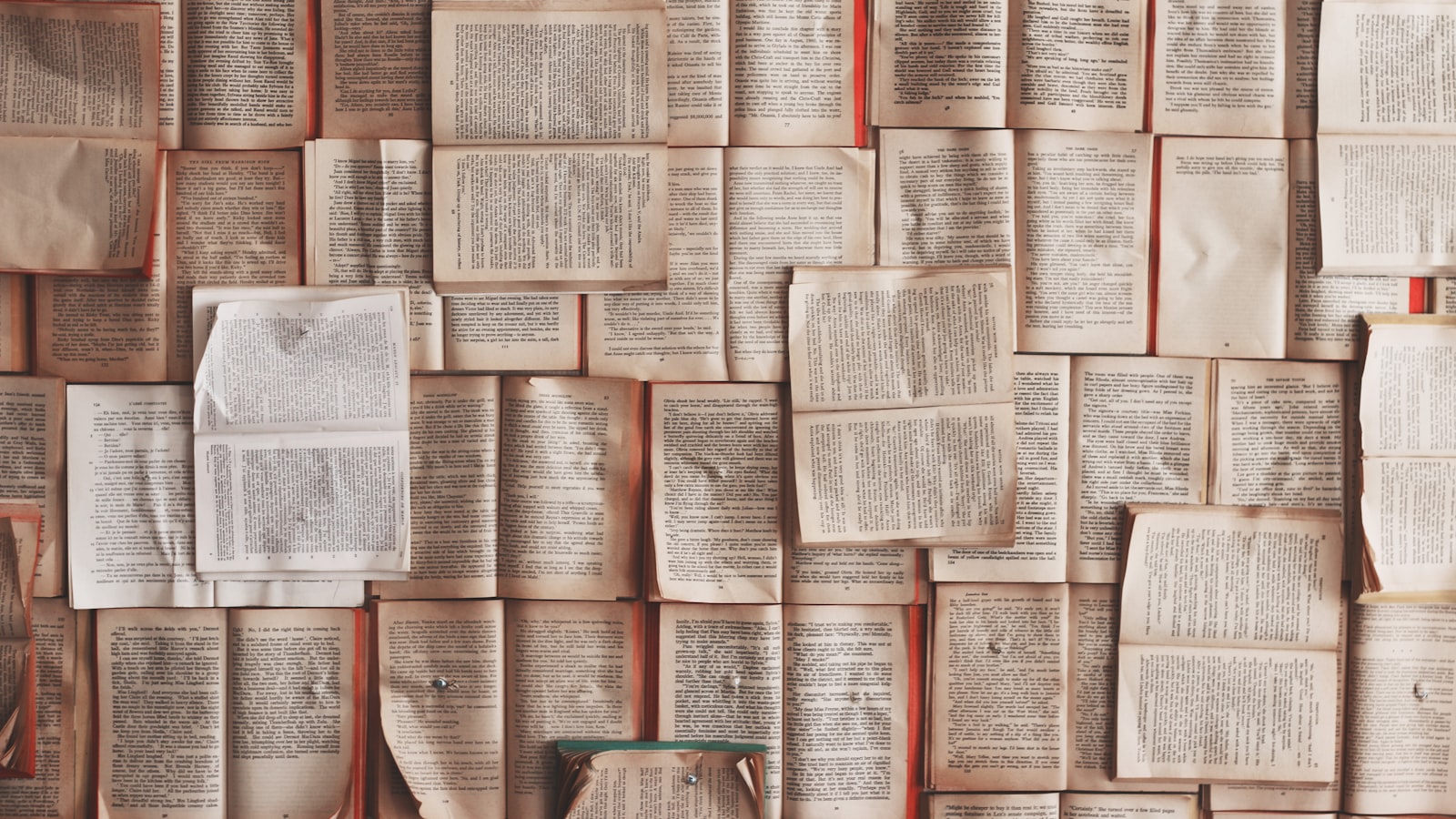 Close-up of open dictionary pages.