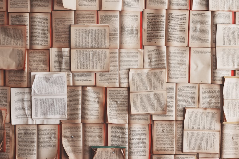 Close-up of open dictionary pages.