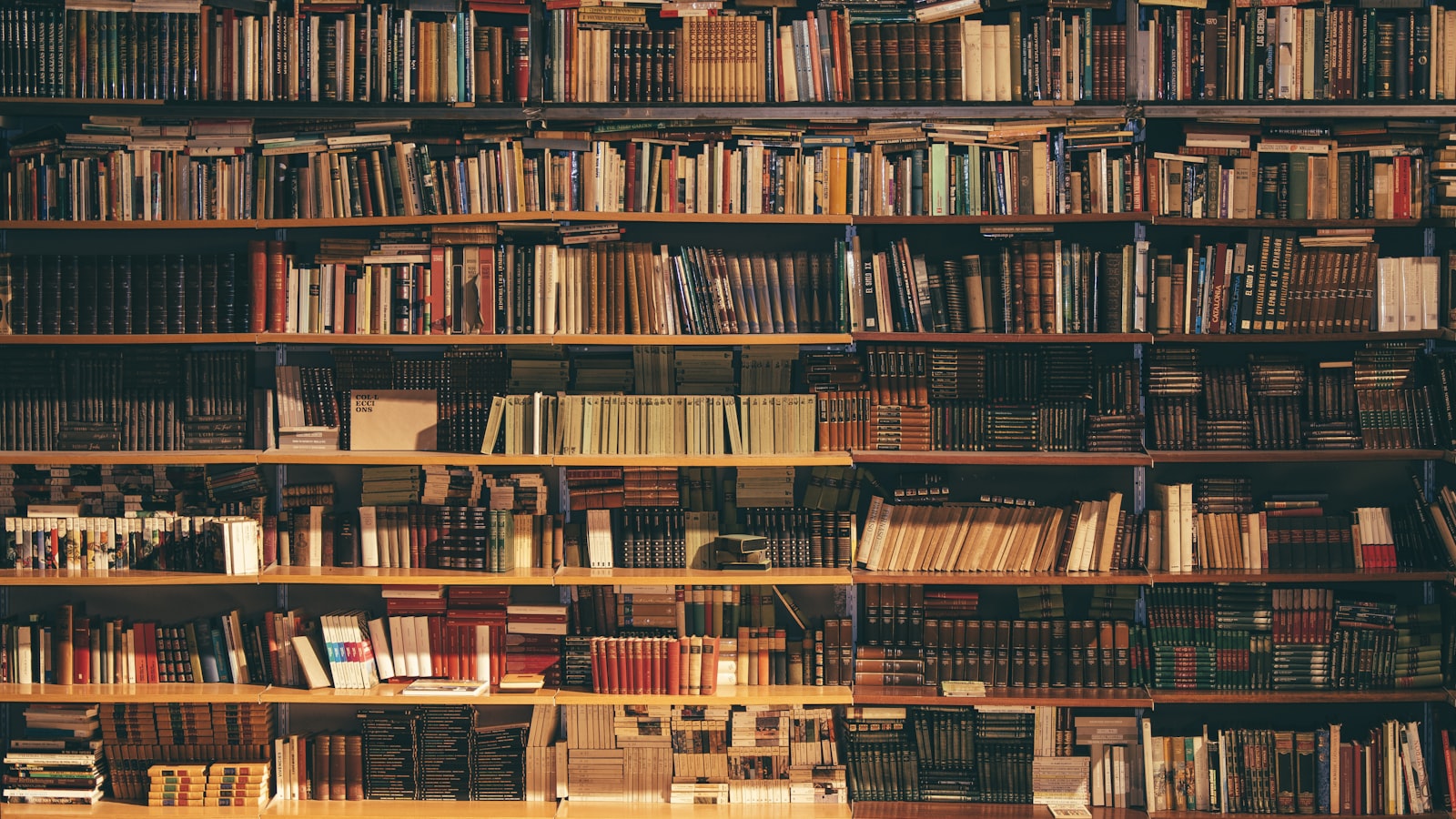 An open book lying face up with soft light falling across the pages.