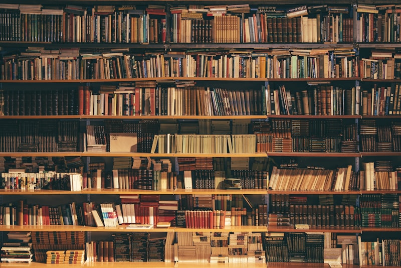 An open book lying face up with soft light falling across the pages.
